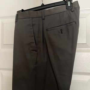 Express Dress Pant